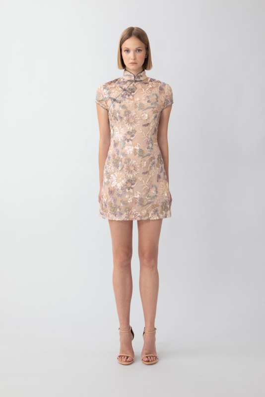 Xixi Mini Dress